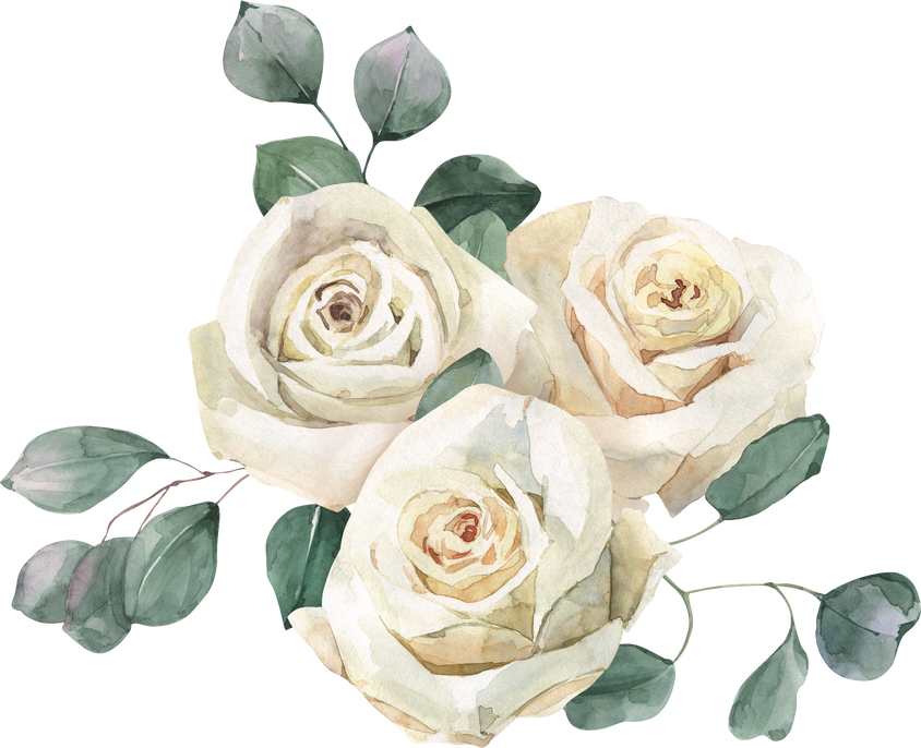 Watercolor Blooming White Rose